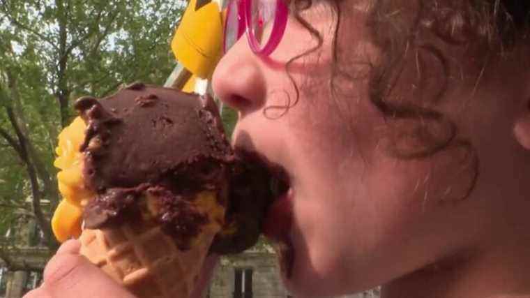 France is the European ice cream champion