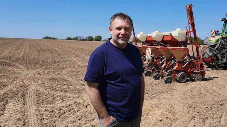 French farmers increase sunflower production to alleviate supply problems