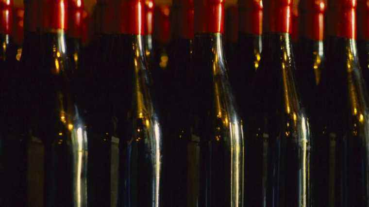 French wines for the time being relatively spared