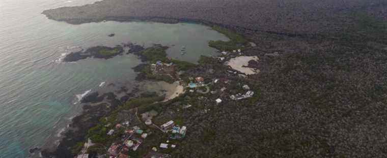 “Fuel slick” in the Galapagos after the sinking of a boat