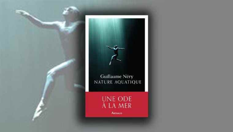 Guillaume Néry, a life in apnea