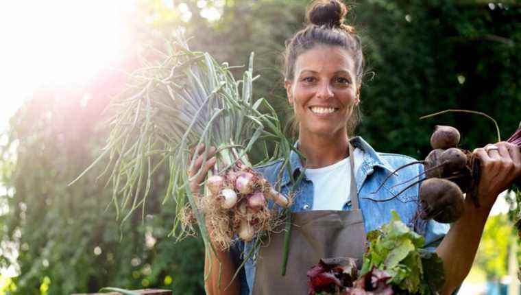 Hot, cold, in salads, in soups… And what’s more, onions are good for your health!