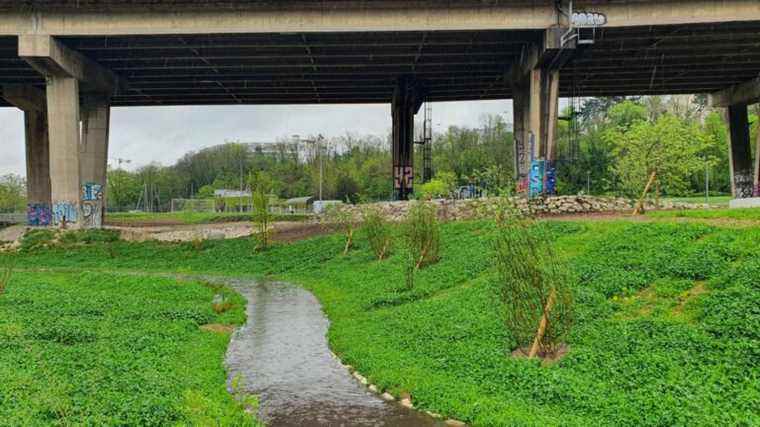 IN IMAGES, IN PICTURES.  The Bièvre, a river hitherto covered in concrete, is reborn south of Paris