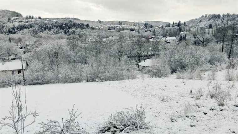 IN PICTURES – La Creuse woke up to snow