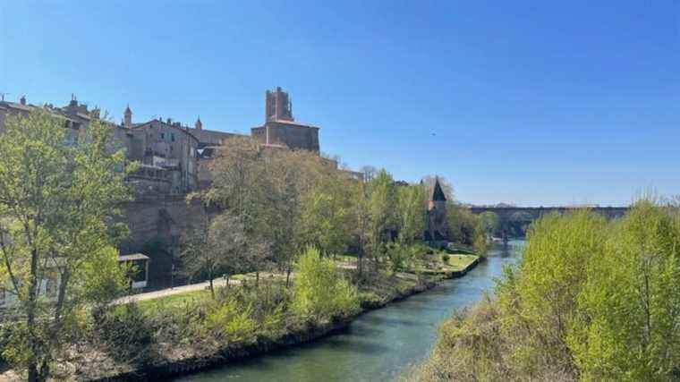 Ideas for outings in Albi