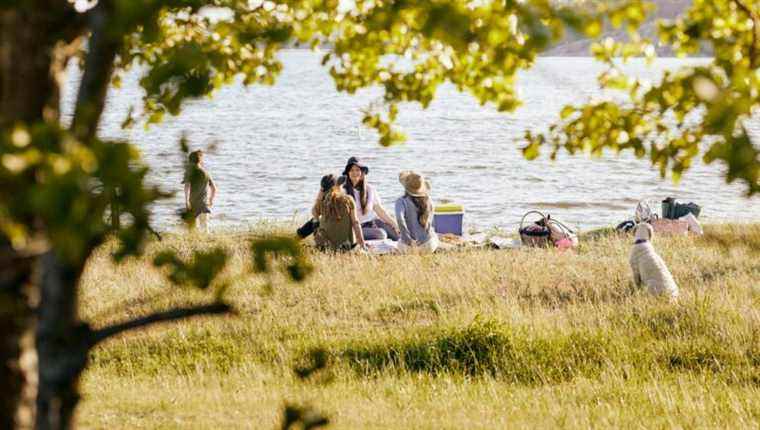 Ideas for the picnic by Julien Picard from the Bistronome in Nancy