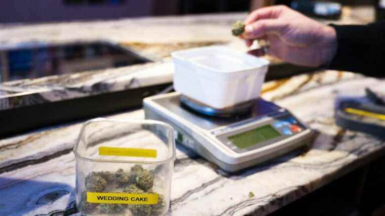 In Amsterdam, cannabis soon banned for foreign tourists?