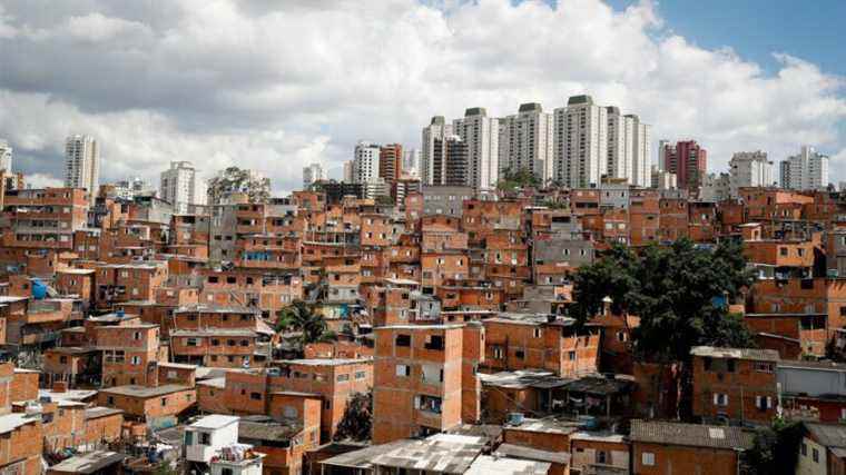 In Brazil, an architect transforms a landfill into a botanical garden in a favela