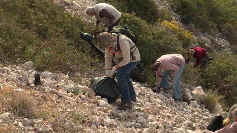 In Marseille, cleaning operations to protect the ecosystem of the creeks