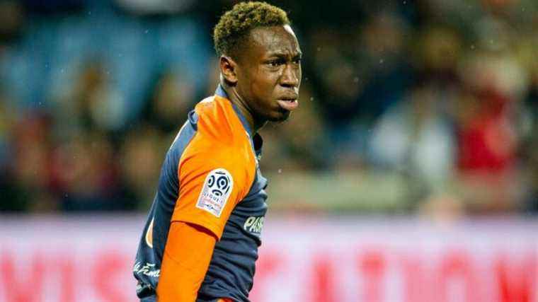 In Montpellier, the ups and downs of Junior Sambia