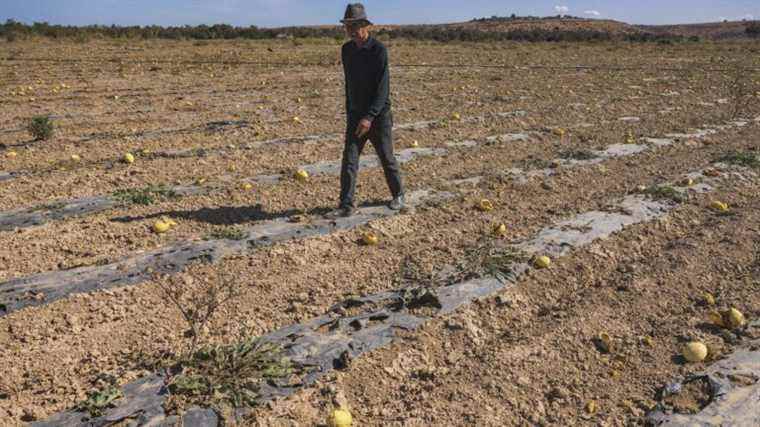 In Morocco, the drought forces us to rethink the infrastructure for capturing and conveying water