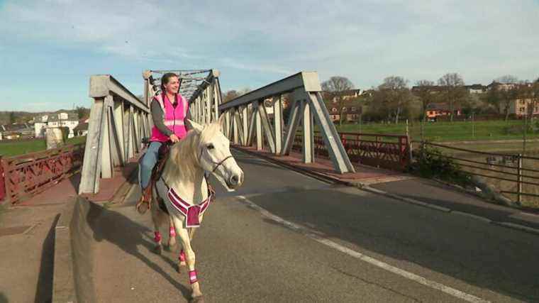 In Moselle, a veterinary assistant goes to work on horseback to cope with the soaring price of gasoline