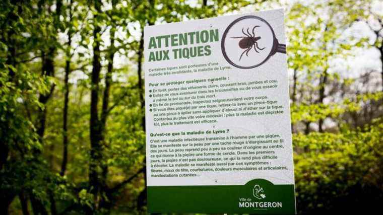 In the forest or in the garden, ANSES calls for “watch out for ticks”