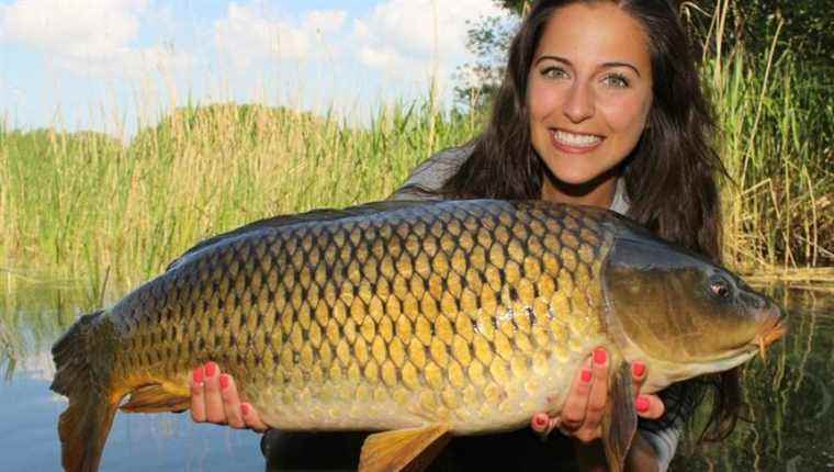 Is it a good time to search for spring carp?