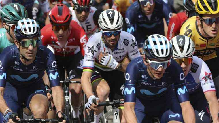 Julian Alaphilippe in search of revenge in Belgium… Follow the race live