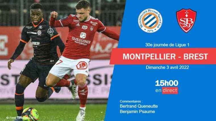 LIVE – Ligue 1: experience Montpellier