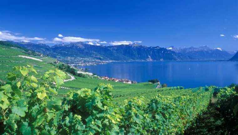 Lake Geneva could hold the total weight of humanity