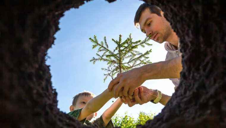 Let’s prepare the ground to plant our trees