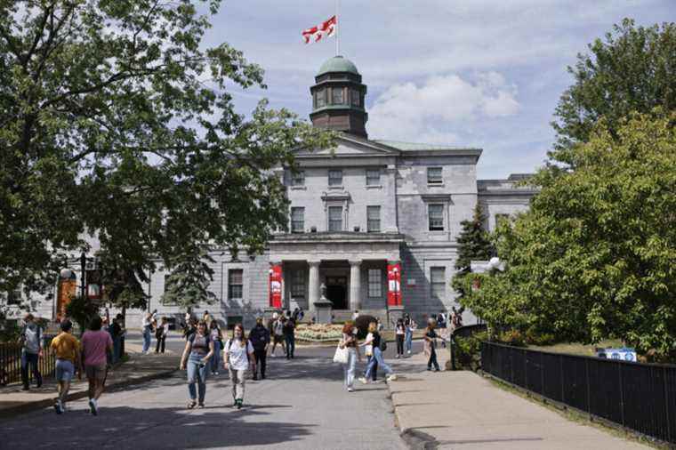 MBA |  McGill ranks 90th: what’s behind the Financial Times ranking