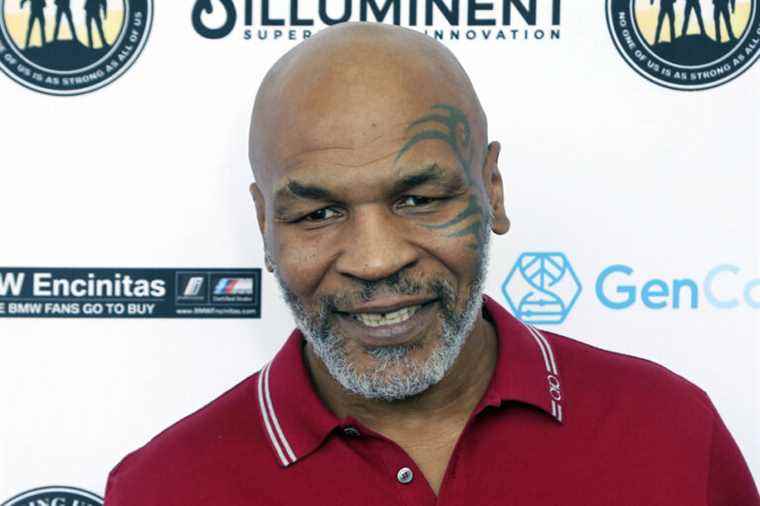 Mike Tyson punches plane passenger