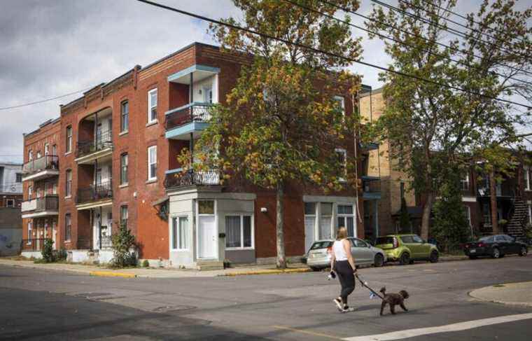 Montreal accused of imposing a “stations of the cross” on real estate developers