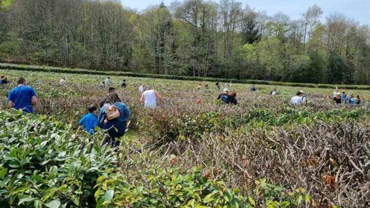 More than 1,000 visitors for the Monts de Guéret labyrinth egg hunt, a record!