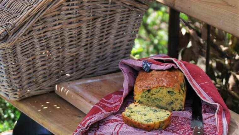 NETTLE CAKE and put nettles in all the sauces!