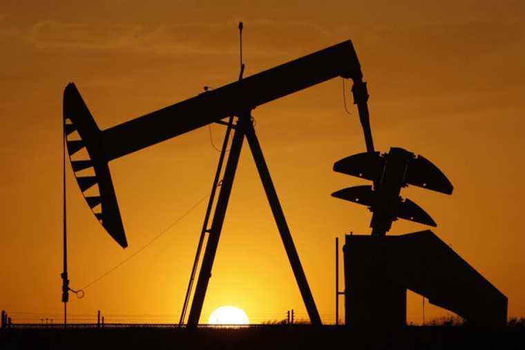 Oil stabilizes, headwinds neutralize