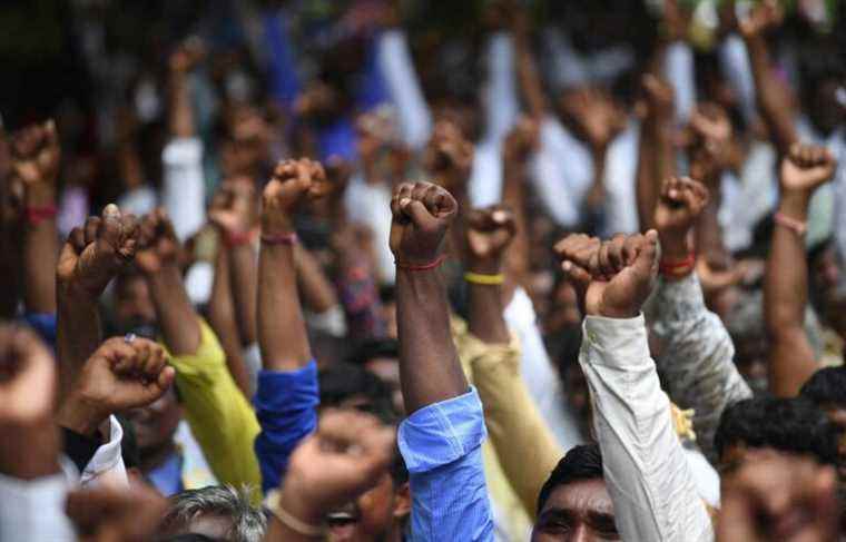 [Opinion] “Point of view of Maïka Sondarjee” |  Month of the Dalits, the caste erased from the history books