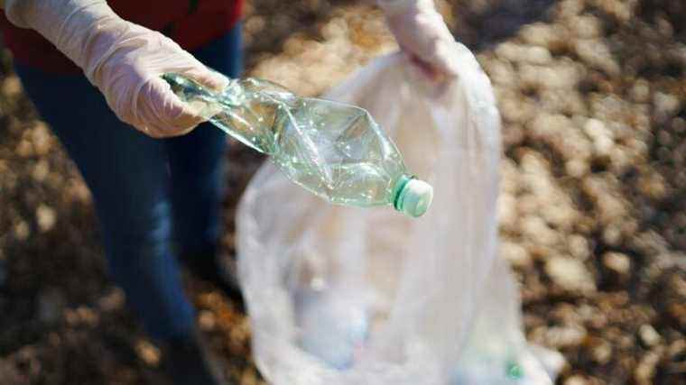 Participate in the great spring cleaning of the Avignon green belt on Saturday May 21, 2022