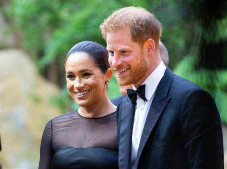 Prince Harry and Meghan Markle humiliated in the Netherlands, new blow for the couple