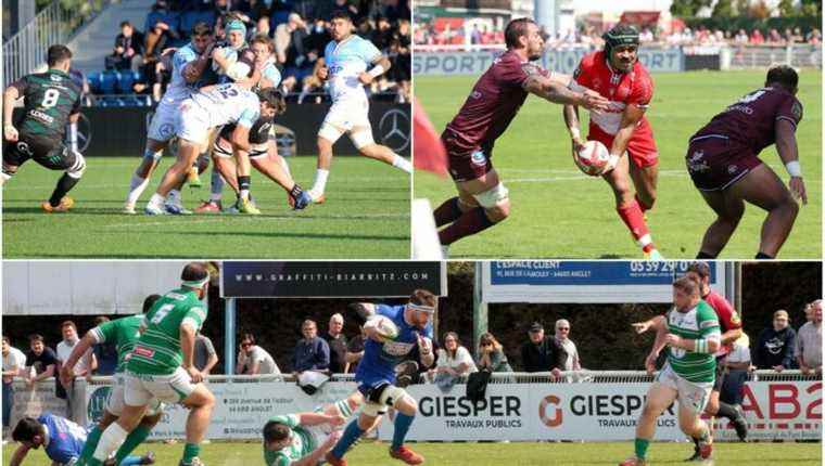 ProD2, Federal, Challenge Cup, Mercato… All the news of rugby in the Basque Country