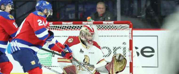 QMJHL: Moncton Wildcats in playoffs