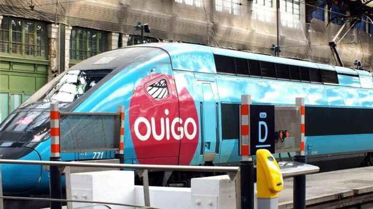 SNCF launches low-speed Ouigo trains on the Paris-Lyon and Paris-Nantes lines