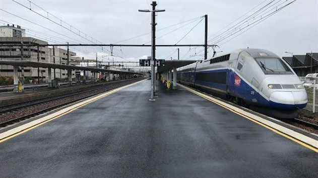 SNCF traffic gradually resumes after a tree fell on the tracks