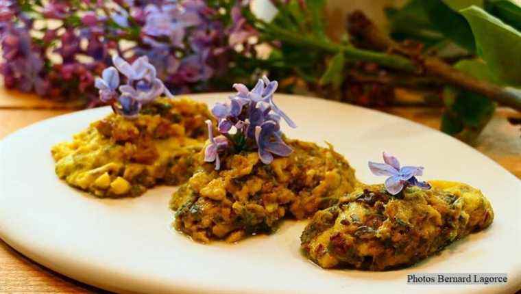 SWEET OMELETTE with FLOWERS to illustrate cooking with flowers