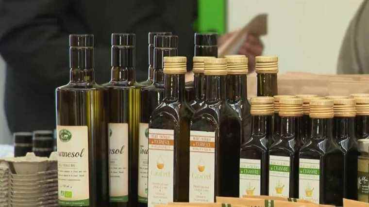 Shortage of sunflower oil: demand explodes among small producers