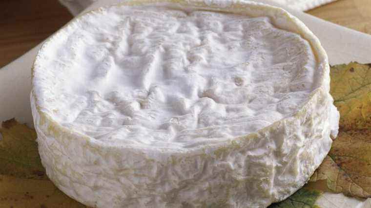 Six cheeses sold in supermarkets, including a brie and coulommiers, are recalled for risk of listeriosis