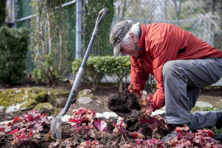 Spring cleaning before gardening |  The Press