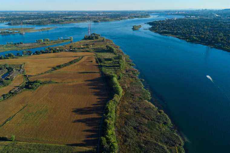 St. Lawrence River |  See agri-environmental issues as opportunities