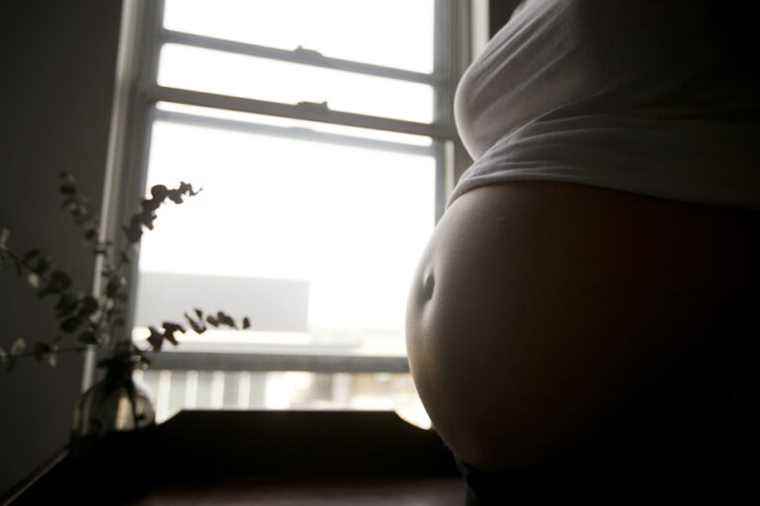 Studies on endocrine disruptors |  Pollutants that affect pregnancies