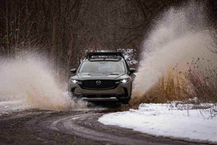 Test bench |  Mazda CX-50: forest folklore