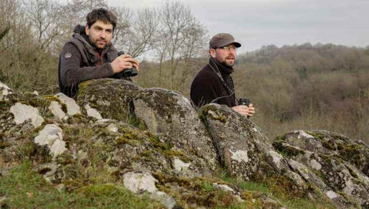 The Braco Brothers, filmmakers and animal photographers