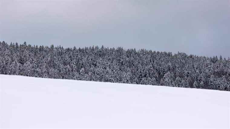 The Hautes-Alpes expect nearly a meter of snow in places