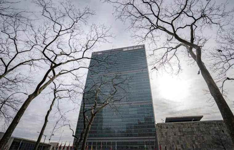 The UN at the center of all crises