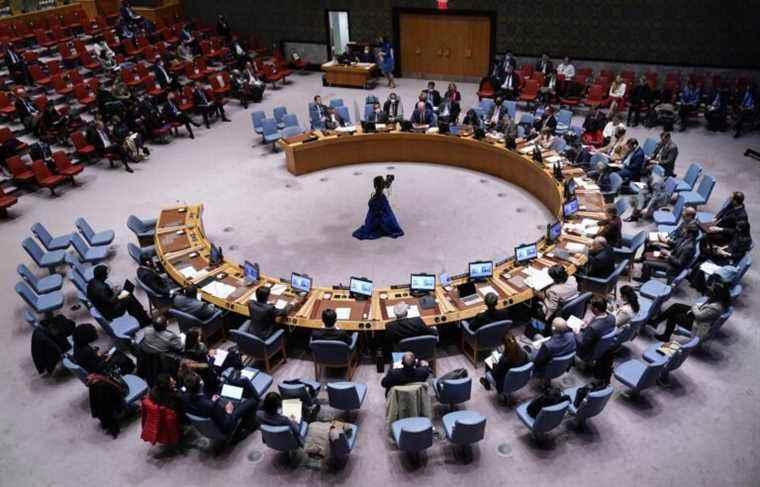 The UN will ask the permanent members of the Security Council to justify any veto