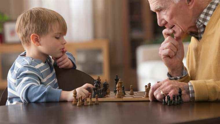 The chess clubs of Drôme and Ardèche have no shortage of projects!