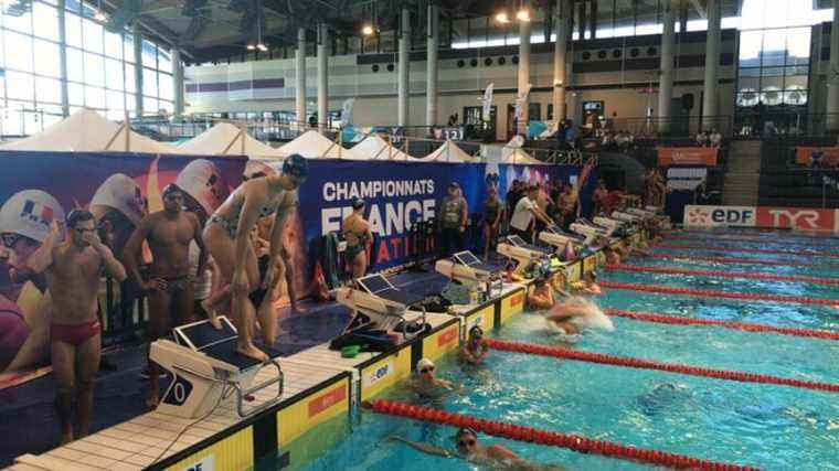 The elite of French swimming return to Limoges