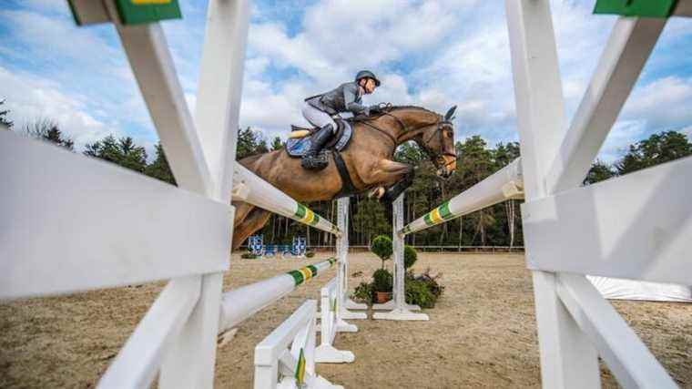 The great Horse Festival returns to Elvange with France Bleu Lorraine