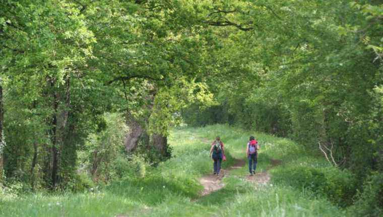 The meeting of the year is tomorrow in Pontmain for the 24th hikers’ certificate.